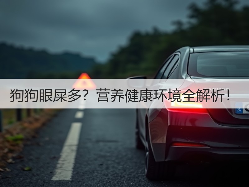 狗狗眼屎多？营养健康环境全解析！