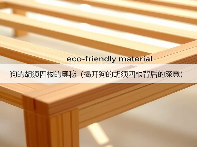 狗的胡须四根的奥秘（揭开狗的胡须四根背后的深意）