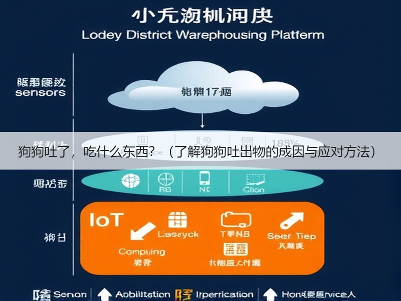 狗狗吐了，吃什么东西？（了解狗狗吐出物的成因与应对方法）