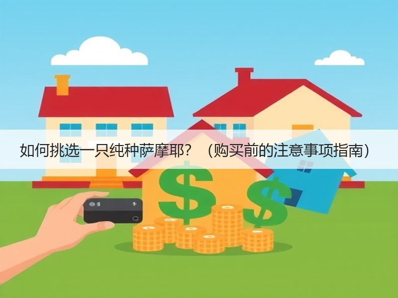 如何挑选一只纯种萨摩耶？（购买前的注意事项指南）