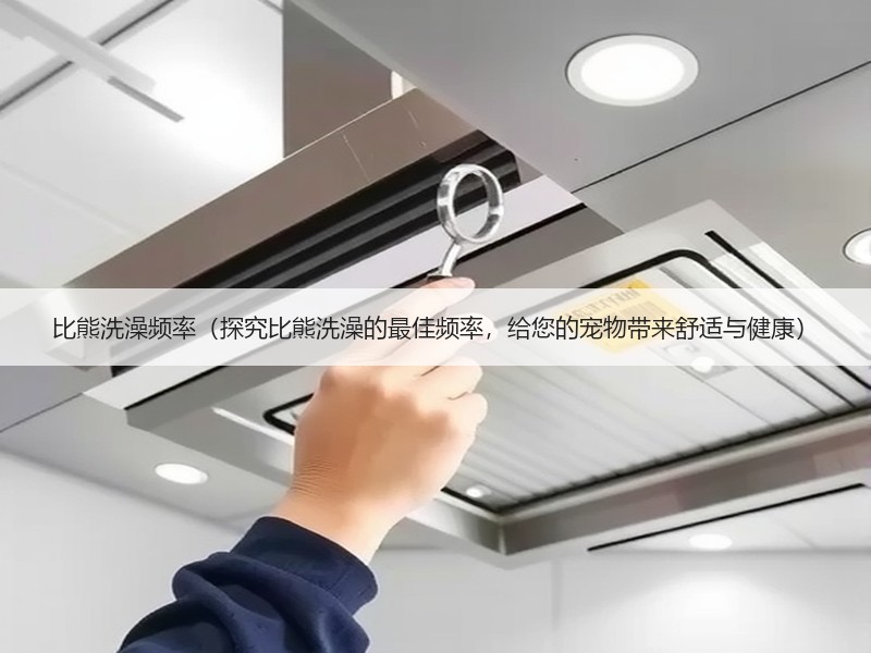 比熊洗澡频率（探究比熊洗澡的最佳频率，给您的宠物带来舒适与健康）