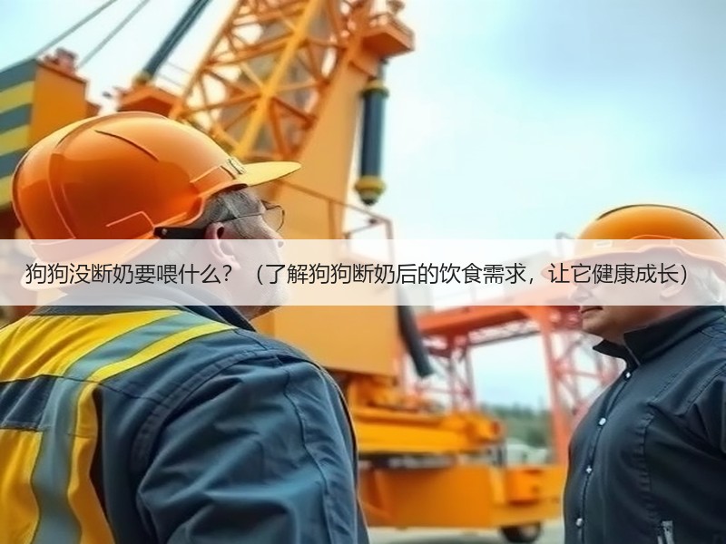狗狗没断奶要喂什么？（了解狗狗断奶后的饮食需求，让它健康成长）