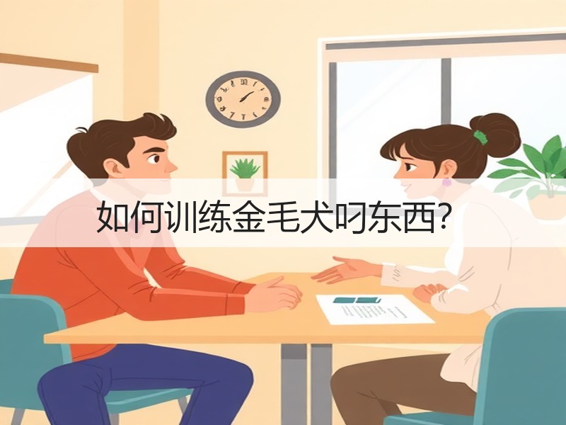 如何训练金毛犬叼东西？