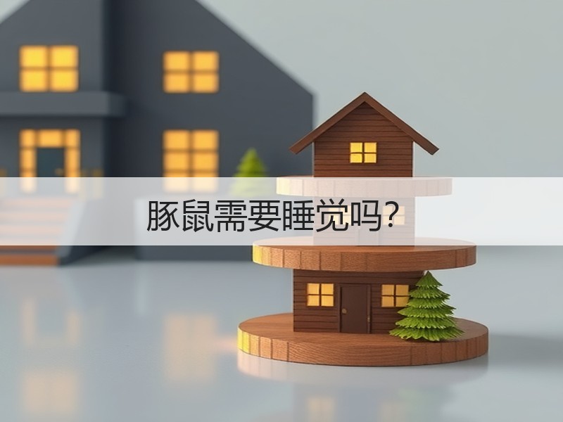 豚鼠需要睡觉吗？