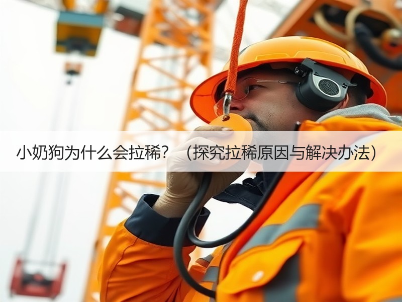 小奶狗为什么会拉稀？（探究拉稀原因与解决办法）