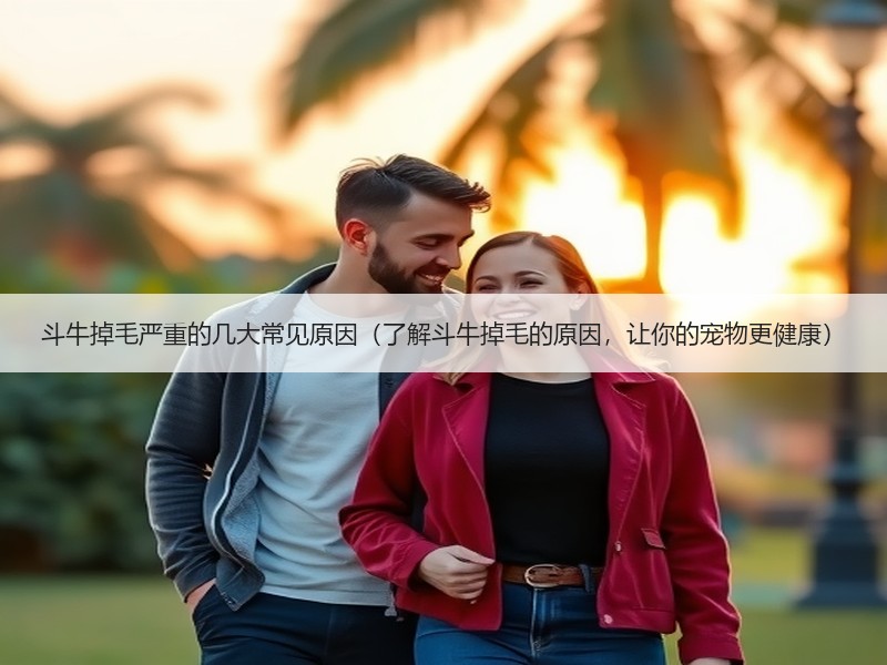 斗牛掉毛严重的几大常见原因（了解斗牛掉毛的原因，让你的宠物更健康）