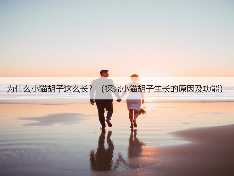 为什么小猫胡子这么长？（探究小猫胡子生长的原因及功能）