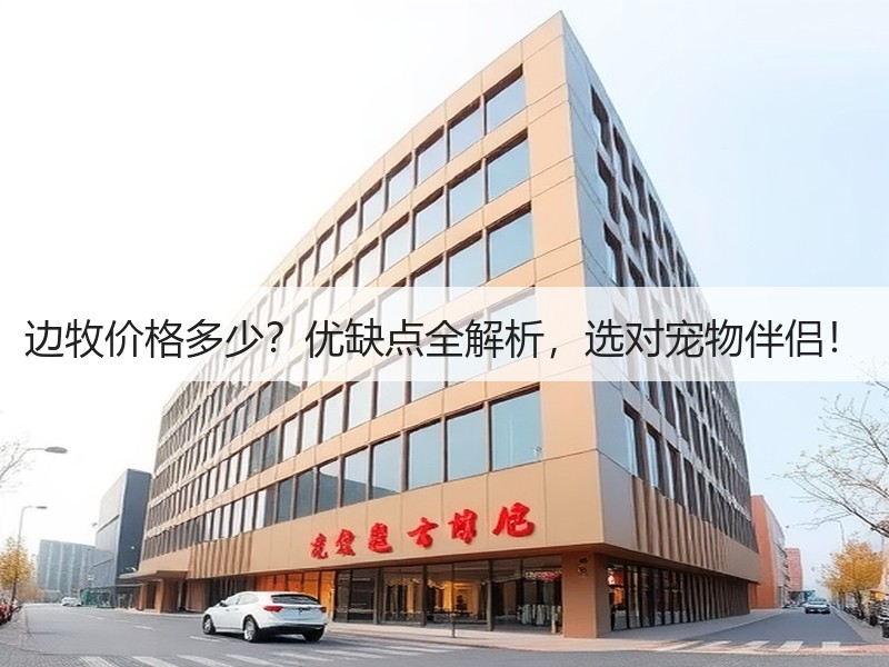 边牧价格多少？优缺点全解析，选对宠物伴侣！