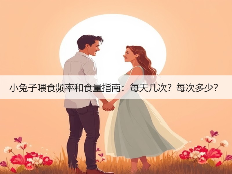 小兔子喂食频率和食量指南：每天几次？每次多少？