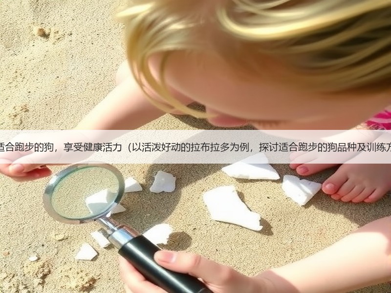 选择适合跑步的狗，享受健康活力（以活泼好动的拉布拉多为例，探讨适合跑步的狗品种及训练方法）