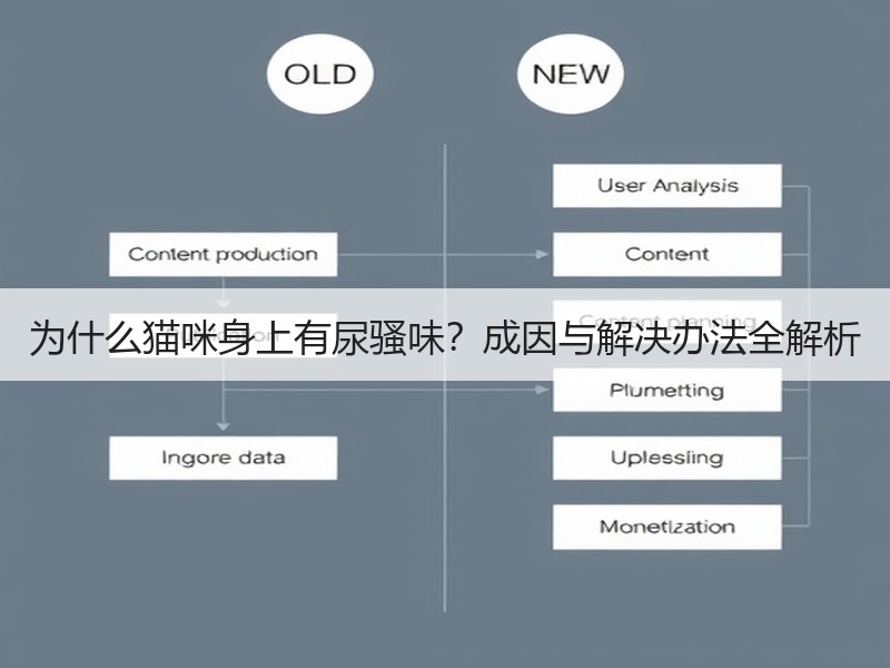 为什么猫咪身上有尿骚味？成因与解决办法全解析
