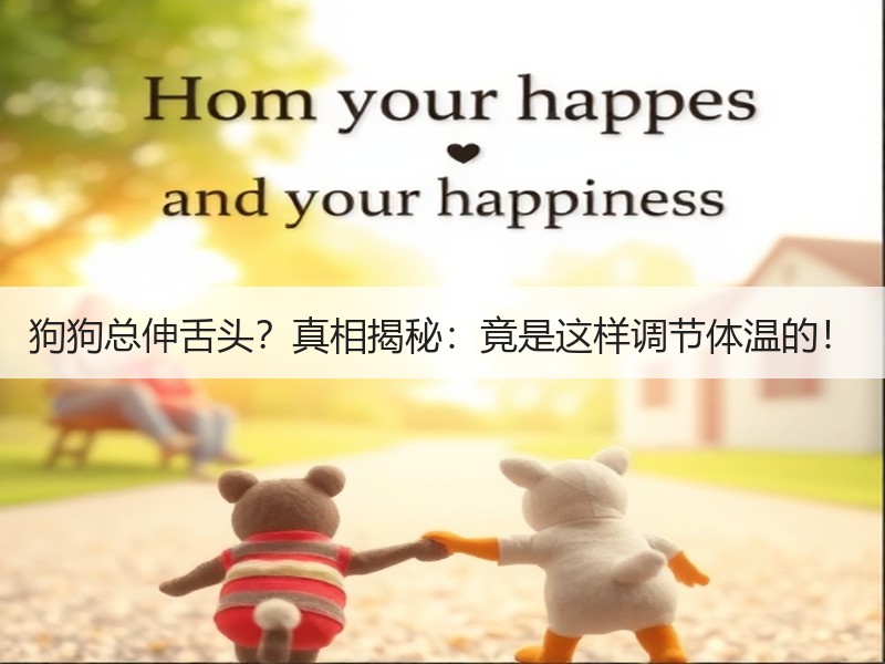 狗狗总伸舌头？真相揭秘：竟是这样调节体温的！