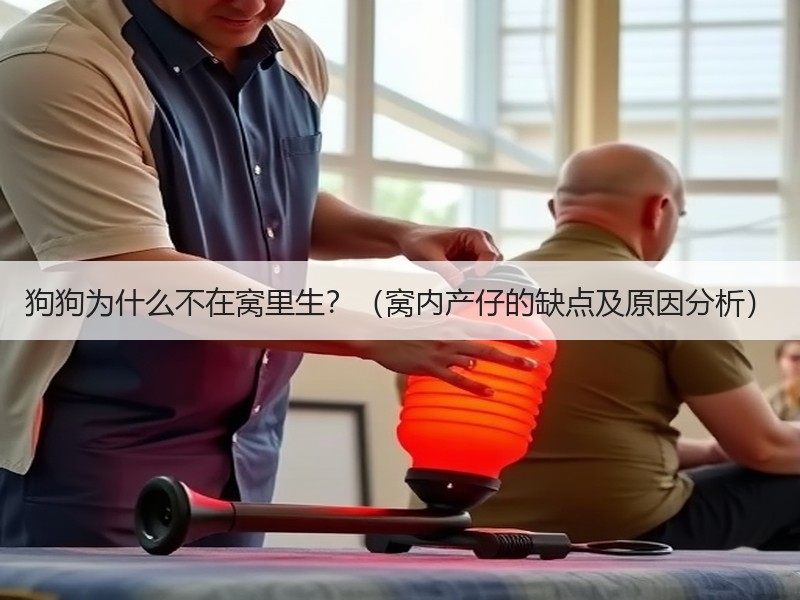 狗狗为什么不在窝里生？（窝内产仔的缺点及原因分析）