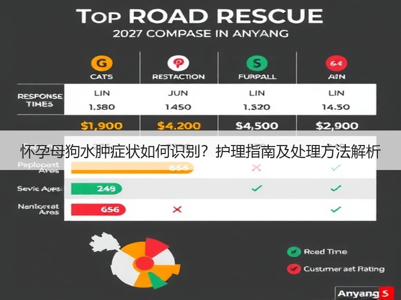 怀孕母狗水肿症状如何识别？护理指南及处理方法解析