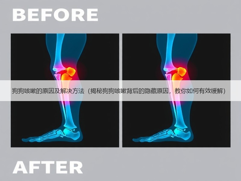 狗狗咳嗽的原因及解决方法（揭秘狗狗咳嗽背后的隐藏原因，教你如何有效缓解）