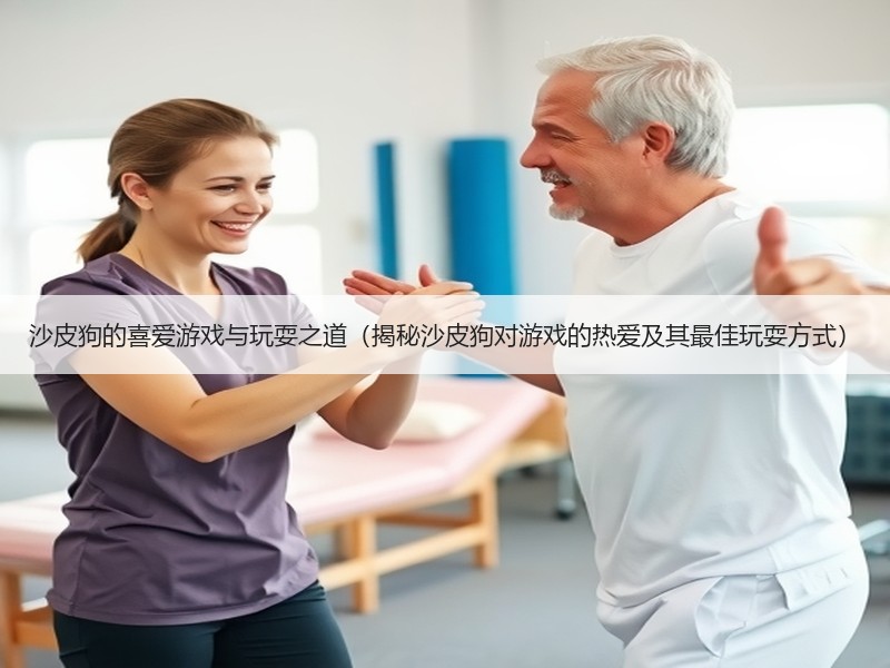 沙皮狗的喜爱游戏与玩耍之道（揭秘沙皮狗对游戏的热爱及其最佳玩耍方式）