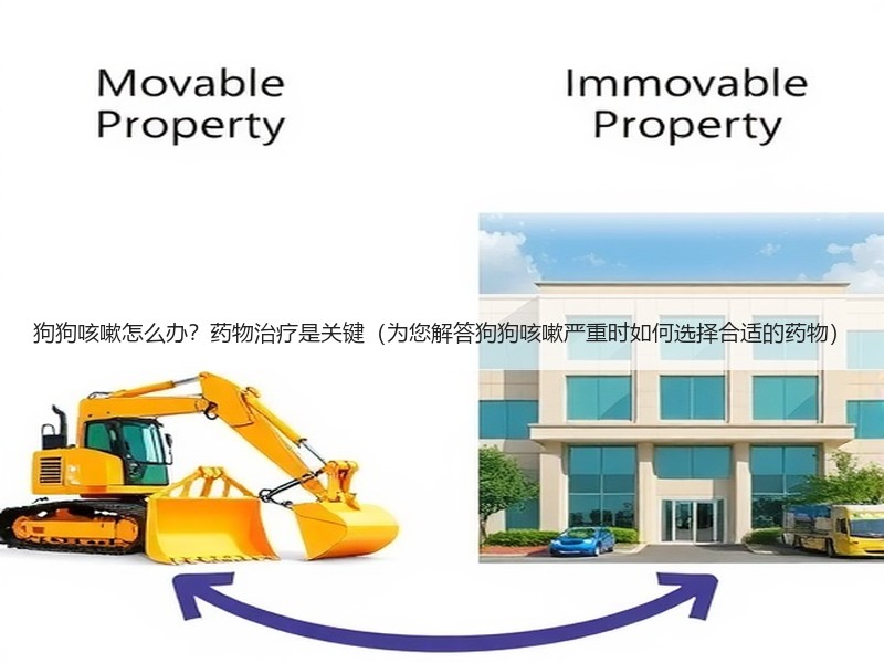 狗狗咳嗽怎么办？药物治疗是关键（为您解答狗狗咳嗽严重时如何选择合适的药物）