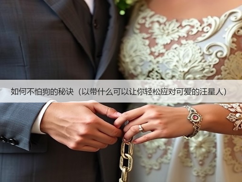 如何不怕狗的秘诀（以带什么可以让你轻松应对可爱的汪星人）