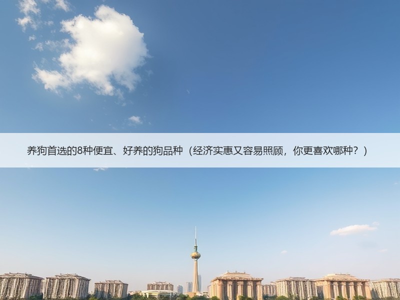 养狗首选的8种便宜、好养的狗品种（经济实惠又容易照顾，你更喜欢哪种？）