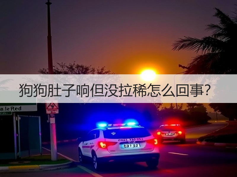 狗狗肚子响但没拉稀怎么回事？