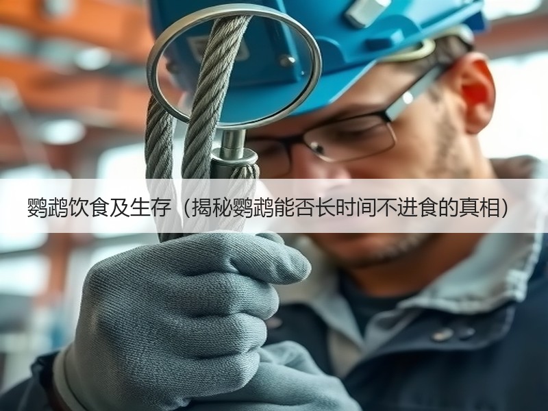 鹦鹉饮食及生存（揭秘鹦鹉能否长时间不进食的真相）