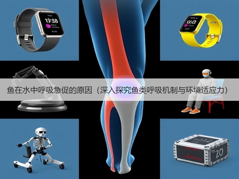 鱼在水中呼吸急促的原因（深入探究鱼类呼吸机制与环境适应力）