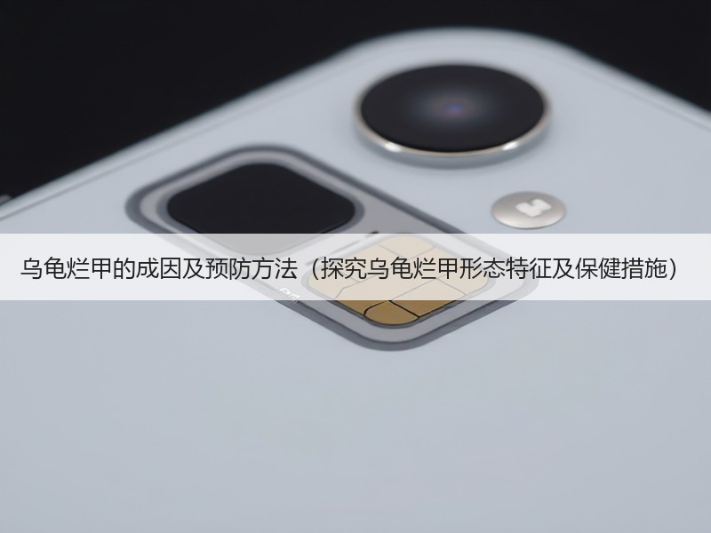 乌龟烂甲的成因及预防方法（探究乌龟烂甲形态特征及保健措施）