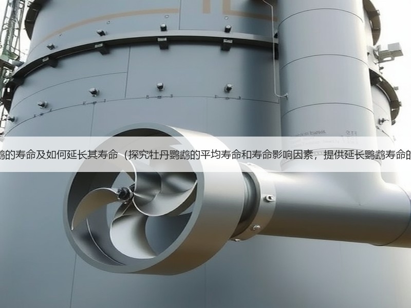 牡丹鹦鹉的寿命及如何延长其寿命（探究牡丹鹦鹉的平均寿命和寿命影响因素，提供延长鹦鹉寿命的建议）