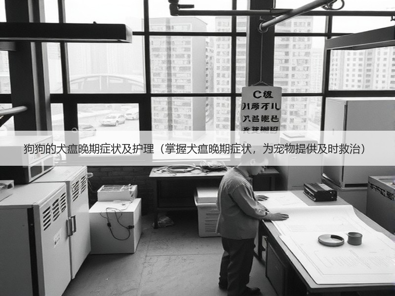 狗狗的犬瘟晚期症状及护理（掌握犬瘟晚期症状，为宠物提供及时救治）