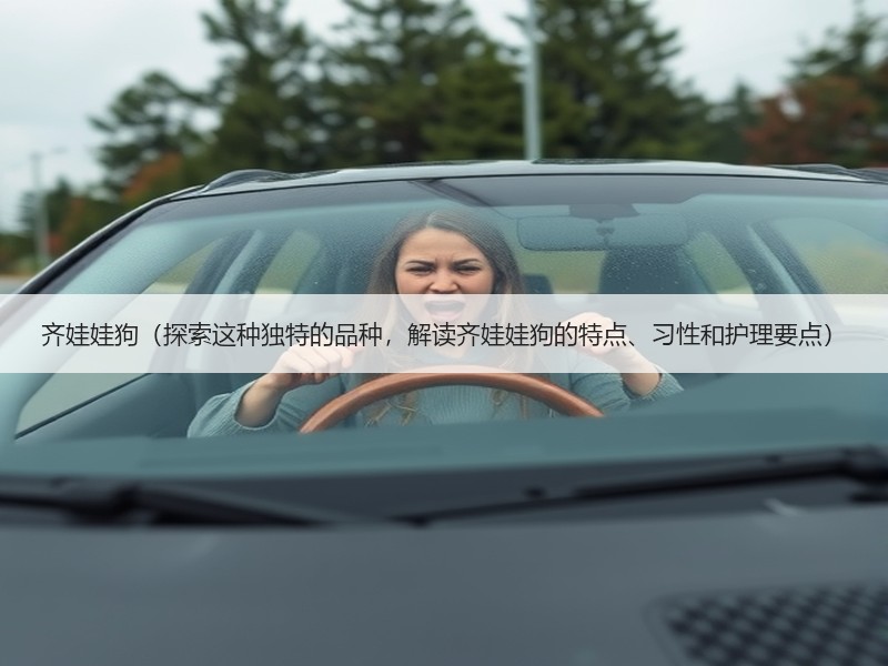齐娃娃狗（探索这种独特的品种，解读齐娃娃狗的特点、习性和护理要点）