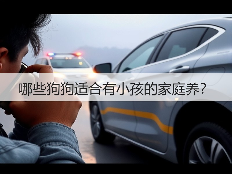 哪些狗狗适合有小孩的家庭养？