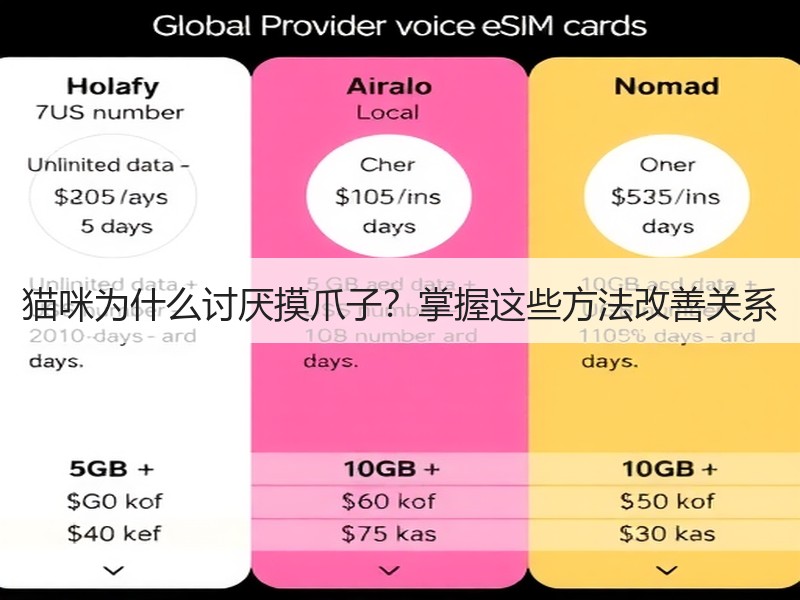 猫咪为什么讨厌摸爪子？掌握这些方法改善关系