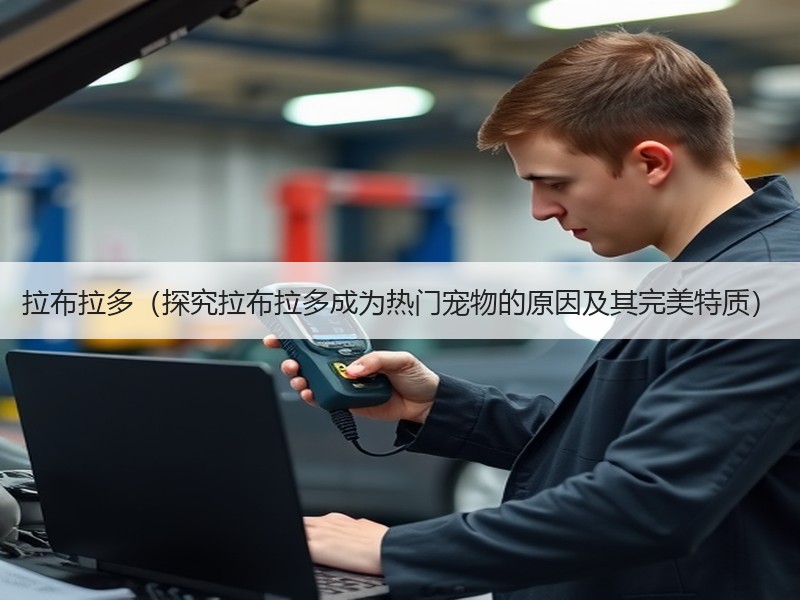 拉布拉多（探究拉布拉多成为热门宠物的原因及其完美特质）