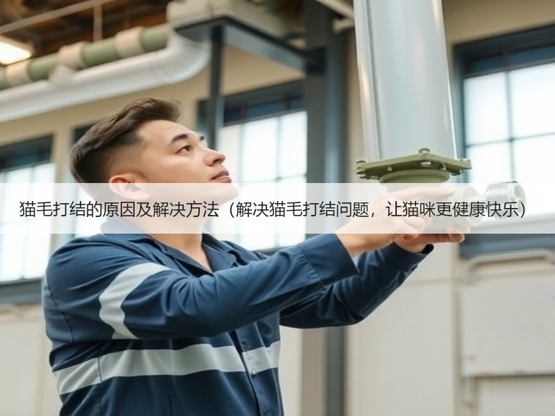猫毛打结的原因及解决方法（解决猫毛打结问题，让猫咪更健康快乐）