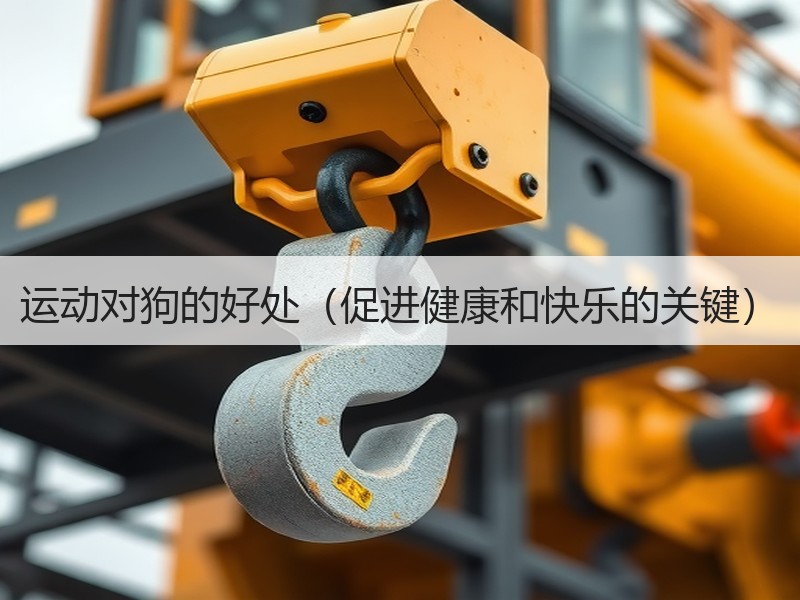 运动对狗的好处（促进健康和快乐的关键）