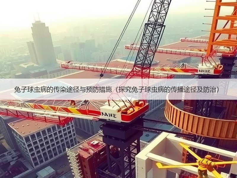 兔子球虫病的传染途径与预防措施（探究兔子球虫病的传播途径及防治）