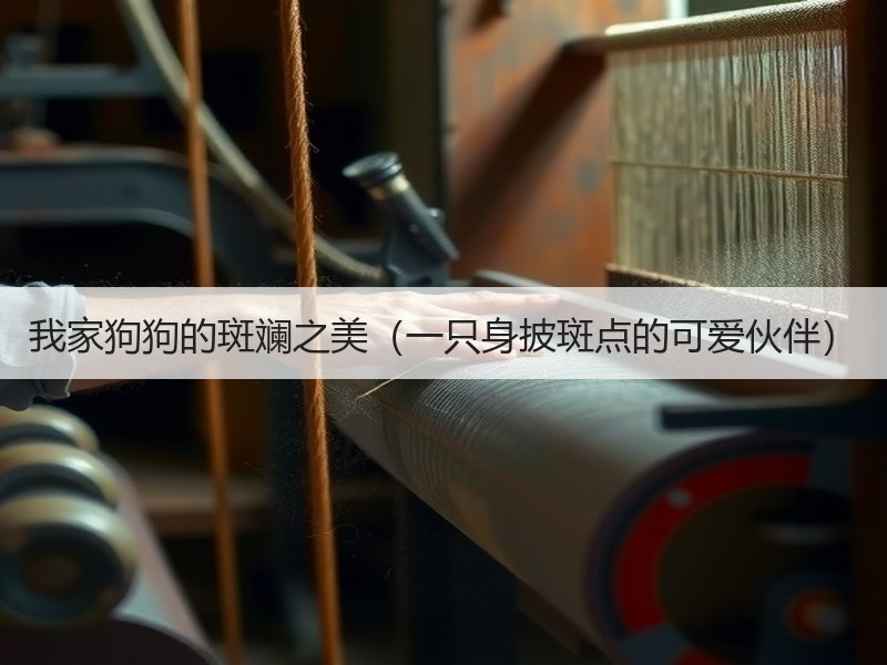 我家狗狗的斑斓之美（一只身披斑点的可爱伙伴）