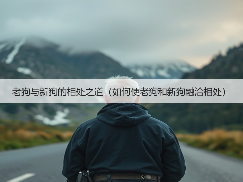 老狗与新狗的相处之道（如何使老狗和新狗融洽相处）