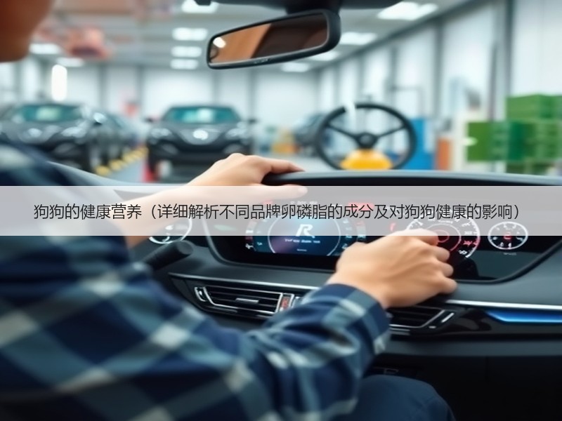 狗狗的健康营养（详细解析不同品牌卵磷脂的成分及对狗狗健康的影响）
