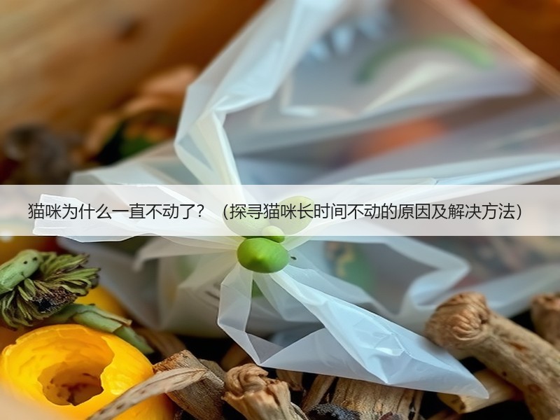 猫咪为什么一直不动了？（探寻猫咪长时间不动的原因及解决方法）