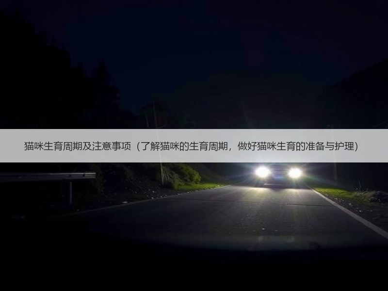 猫咪生育周期及注意事项（了解猫咪的生育周期，做好猫咪生育的准备与护理）