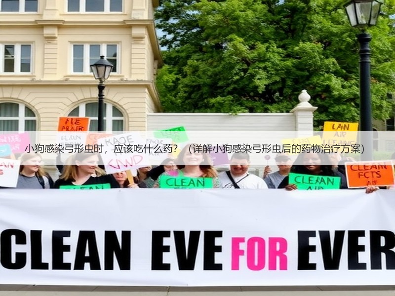 小狗感染弓形虫时，应该吃什么药？（详解小狗感染弓形虫后的药物治疗方案）
