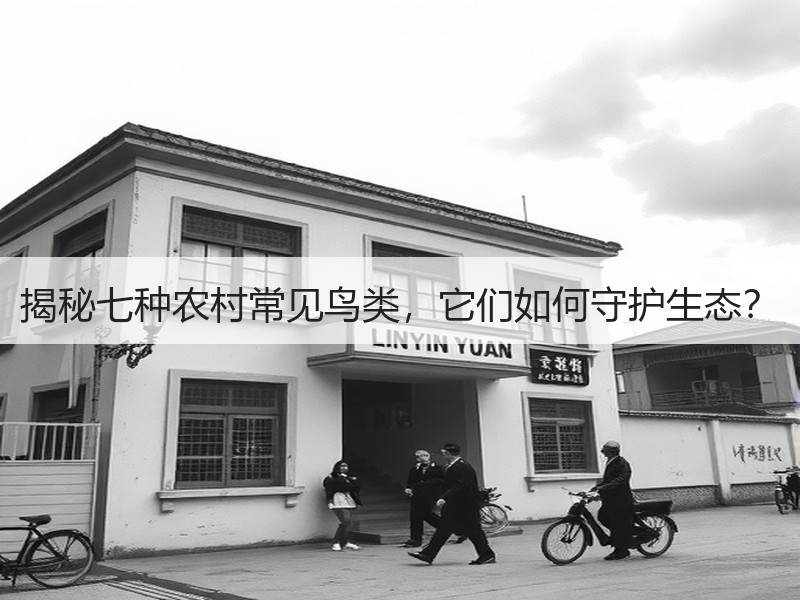 揭秘七种农村常见鸟类，它们如何守护生态？
