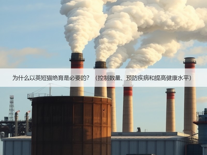 为什么以英短猫绝育是必要的？（控制数量、预防疾病和提高健康水平）