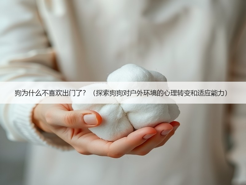 狗为什么不喜欢出门了？（探索狗狗对户外环境的心理转变和适应能力）