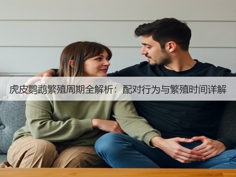 虎皮鹦鹉繁殖周期全解析：配对行为与繁殖时间详解
