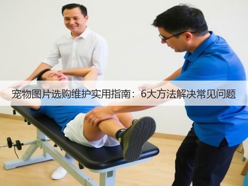 宠物图片选购维护实用指南：6大方法解决常见问题