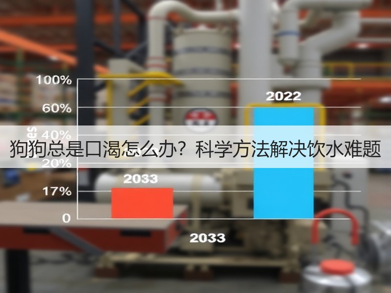 狗狗总是口渴怎么办？科学方法解决饮水难题