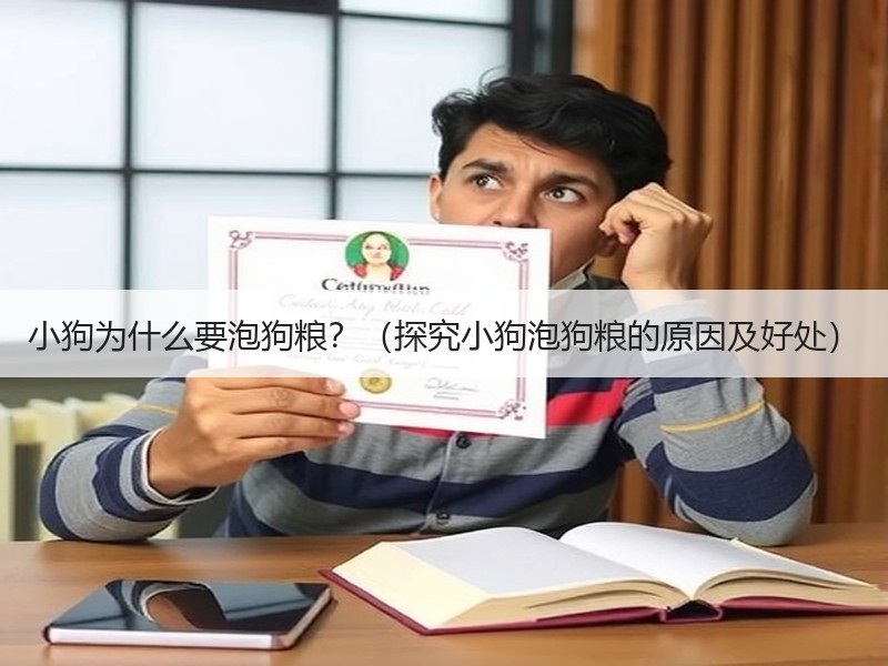 小狗为什么要泡狗粮？（探究小狗泡狗粮的原因及好处）