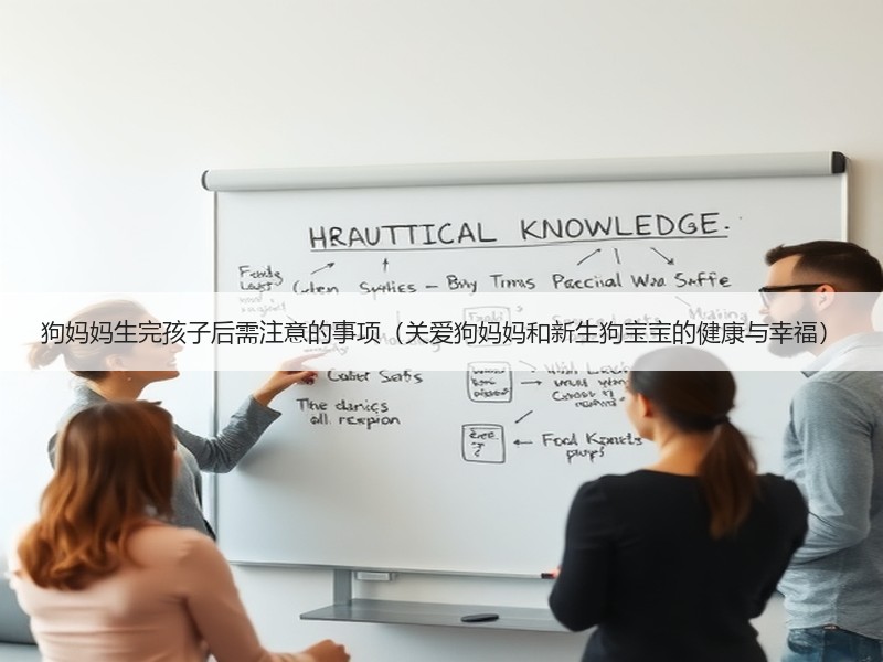 狗妈妈生完孩子后需注意的事项（关爱狗妈妈和新生狗宝宝的健康与幸福）